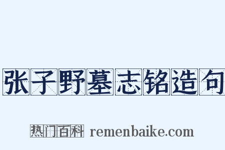 张子野墓志铭造句是什么意思的图片